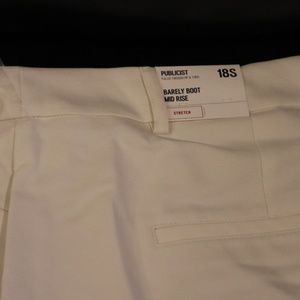 NWT Express Publicist Pant